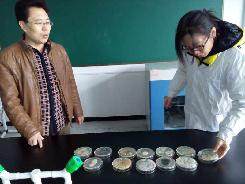 科研开发处对学院科研项目研究工作开展情况进行抽查